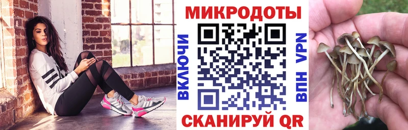 Псилоцибиновые грибы Magic Shrooms  Славск 